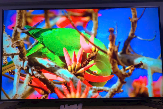Android Tivi Sony 4K 85 inch KD-85X9500G